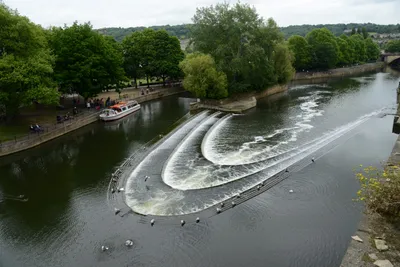 DSC_2554 (Large).JPG